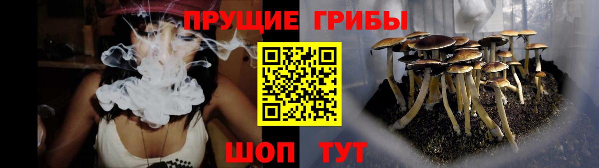 Чайковский  Галлюциногенные грибы Cubensis  Вход с VPN  Галлюциногенные грибы GOLDEN TEACHER 